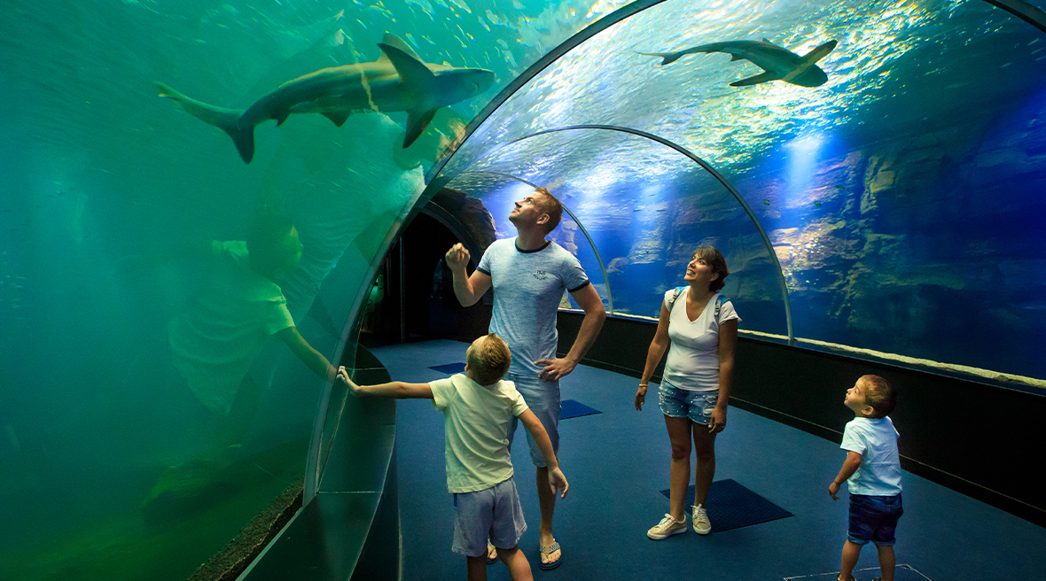 Fully immerse yourself in the 18-metre long tunnel